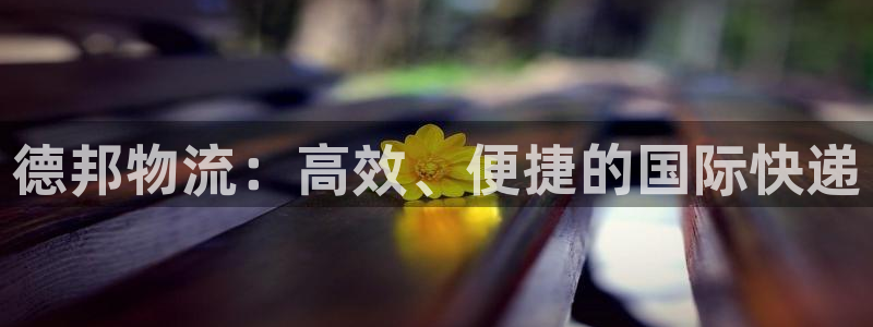 超凡国际注册号：德邦物流：高效、便捷