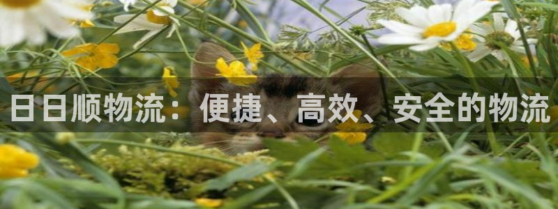 超凡国际官方版网站：日日顺物流：便捷