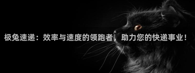 超凡国际忘记账号：极兔速递：效率与速
