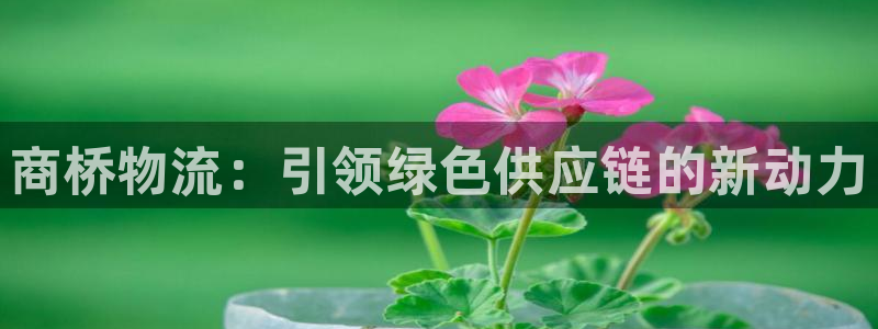 超凡国际退款：商桥物流：引领绿色供应