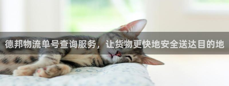 超凡国际二维码：德邦物流单号查询服务