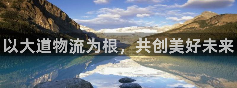 超凡国际软件总是闪退怎么回事：以大道物流为根，共创美好未来