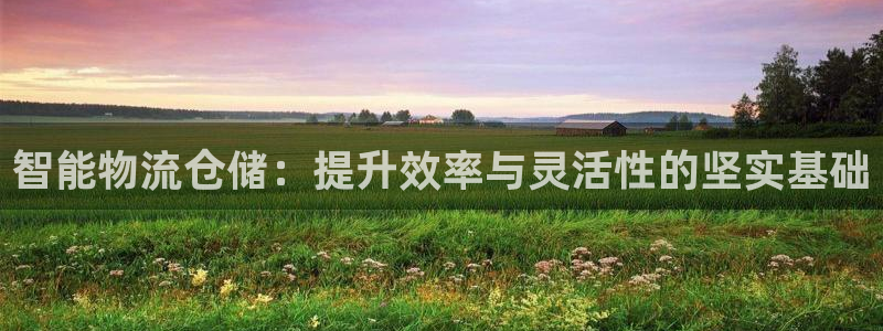 超凡国际和南宫28什么关系：智能物流