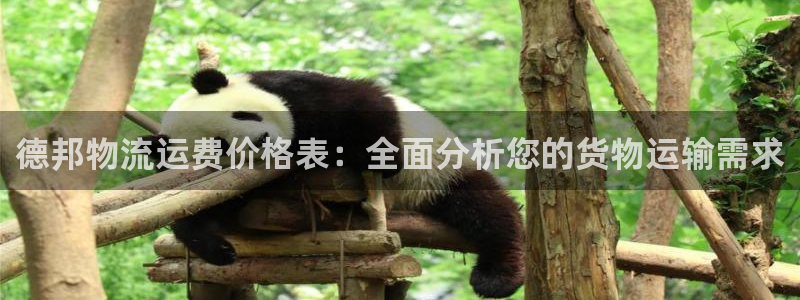 超凡国际注册步骤：德邦物流运费价格表