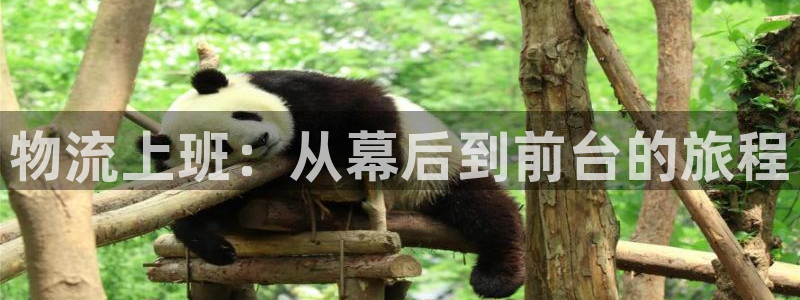 超凡国际APP是干什么的:物流上班: