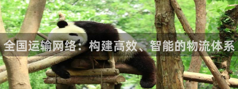 超凡国际能退款吗:全国运输网络:构建