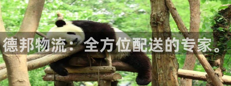 超凡国际返水怎么算的:德邦物流:全方