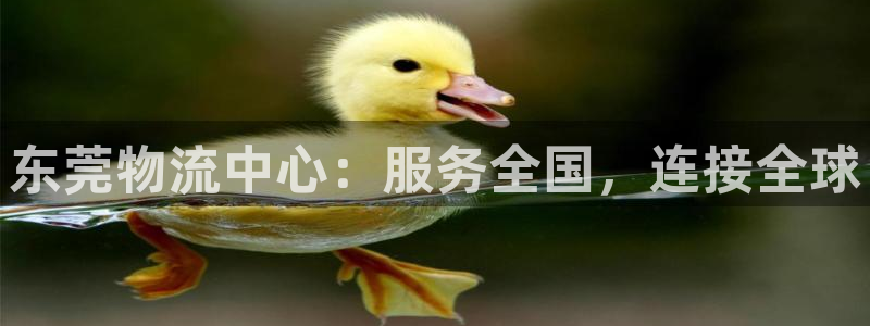 超凡国际官方版正版：东莞物流中心：服务全国，连接全球