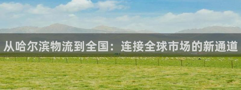 超凡国际如何看计划：从哈尔滨物流到全国：连接全球市场的新通道