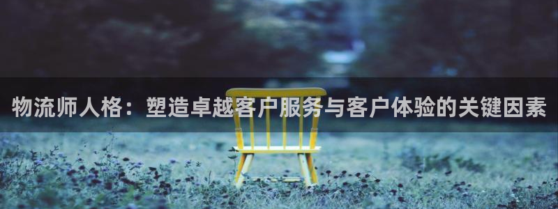超凡国际登录：物流师人格：塑造卓越客户服务与客户体验的关键因