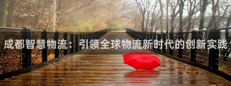 超凡国际旗下:成都智慧物流:引领全球