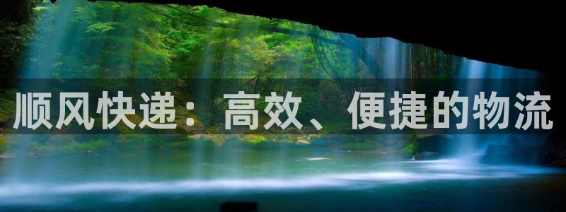 超凡国际登录网:顺风快递:高效、便捷