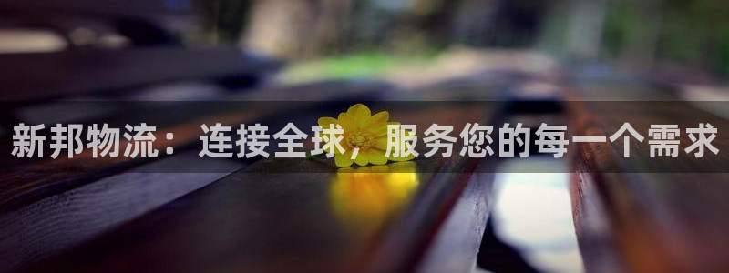 超凡国际娱乐官网网页:新邦物流:连接