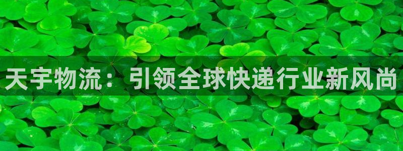 超凡国际旗下:天宇物流:引领全球快递