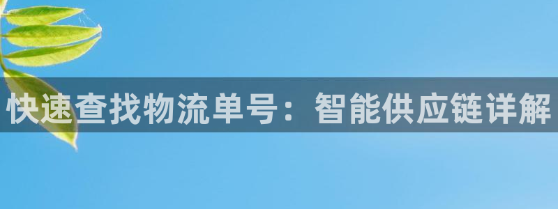 超凡国际注册网页：快速查找物流单号：智能供应链详解